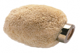 0889 Mushroom-Shaped Brushes